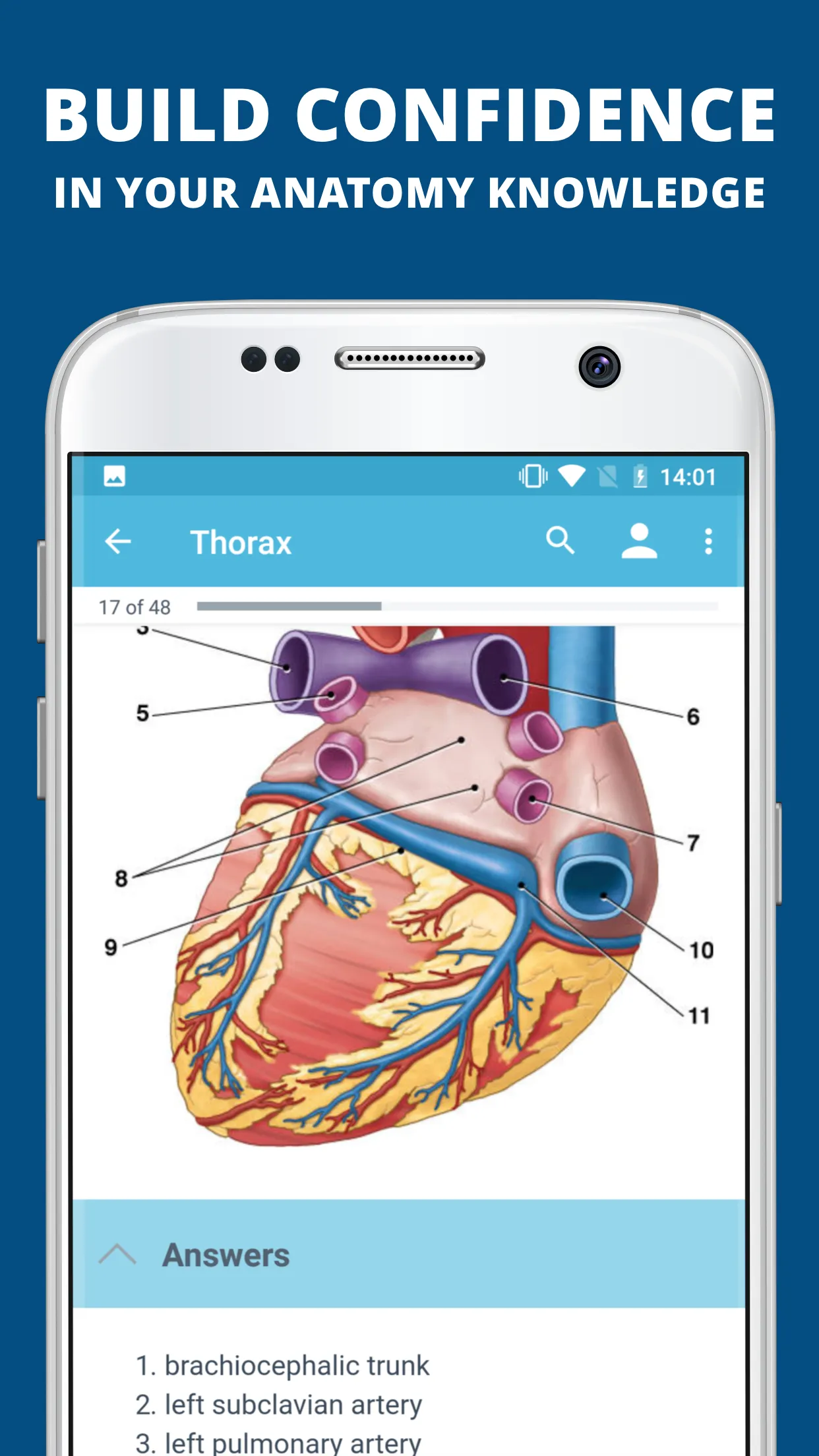 USMLE Clinical Anatomy | Indus Appstore | Screenshot