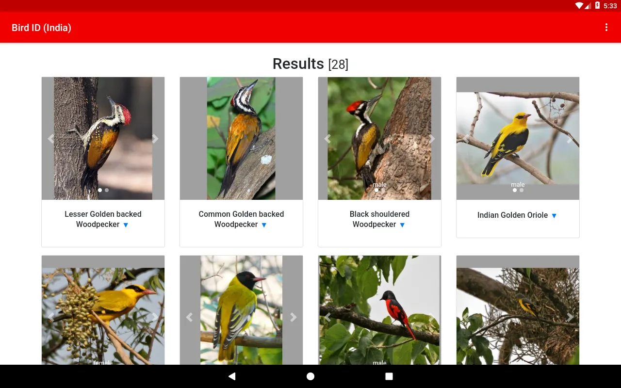 Bird ID (India) | Indus Appstore | Screenshot