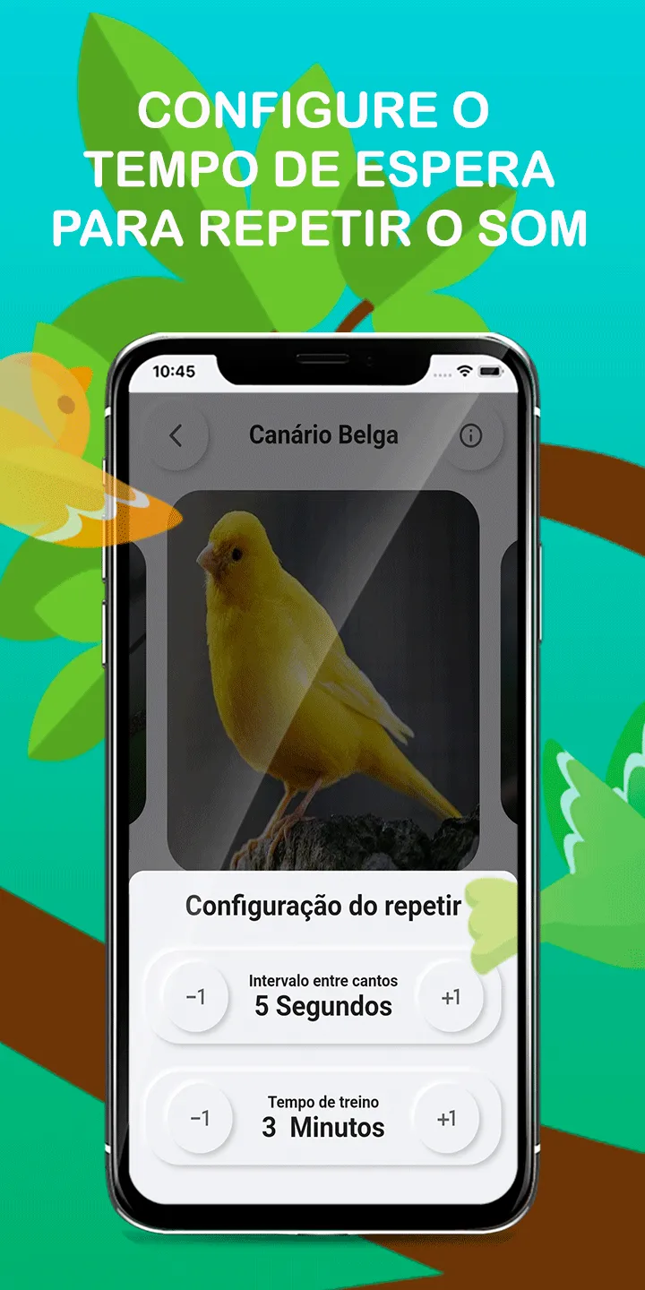 Canary Bird Belgian Corners | Indus Appstore | Screenshot