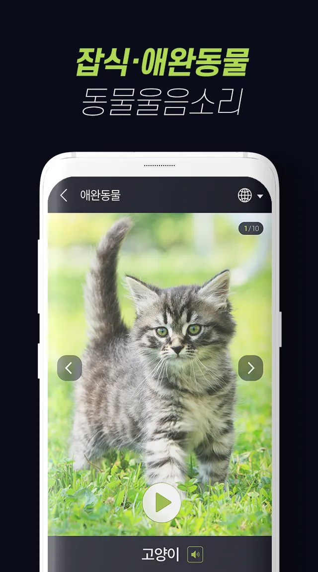 Animalsounds–sounds and photos | Indus Appstore | Screenshot