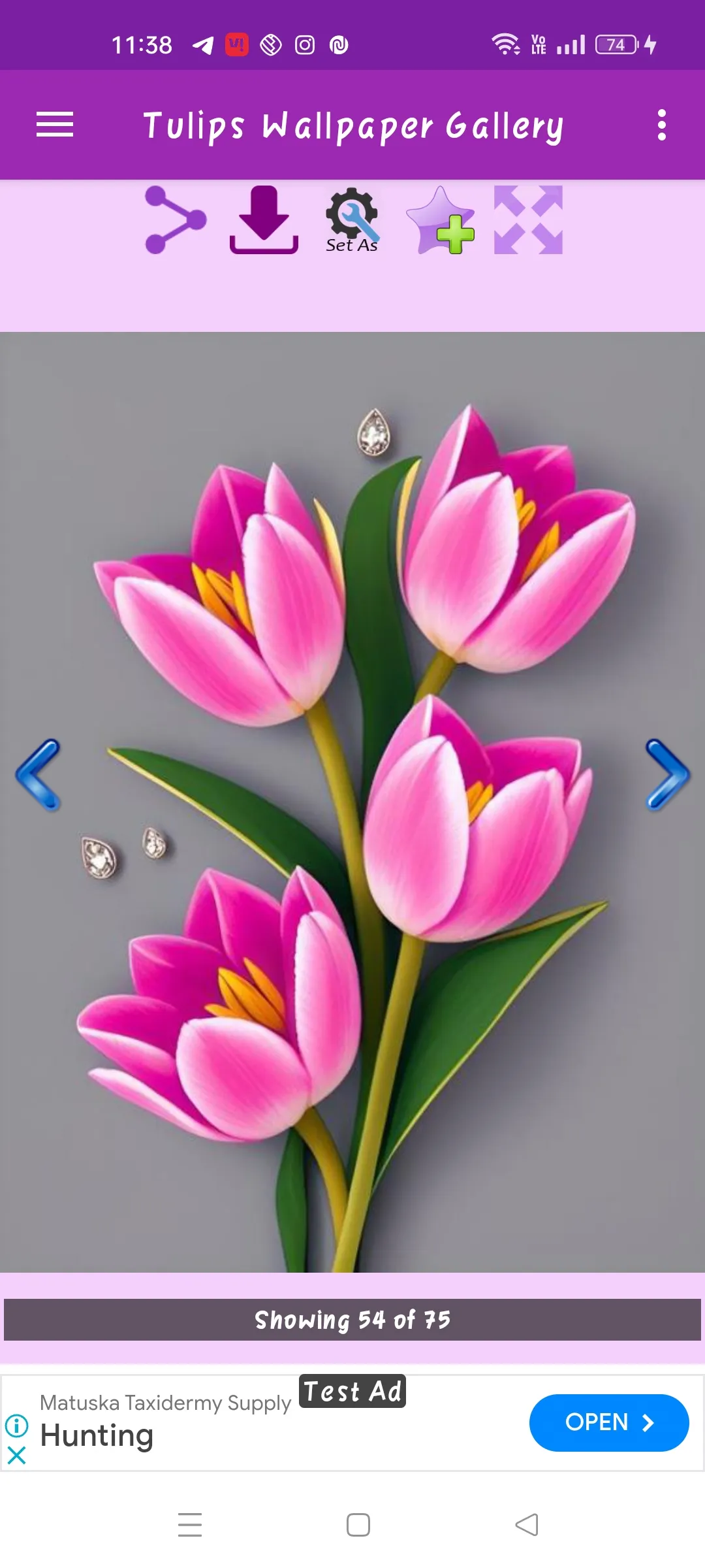 Tulips Wallpaper | Indus Appstore | Screenshot