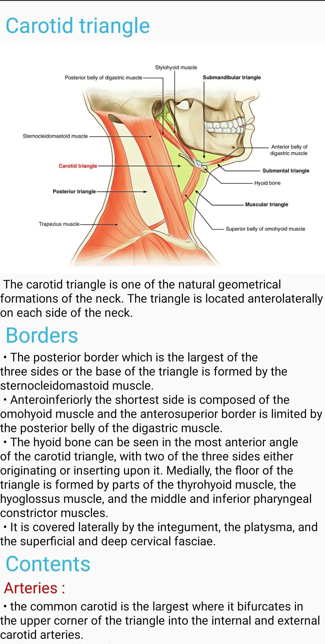 Human Anatomy E Theories | Indus Appstore | Screenshot