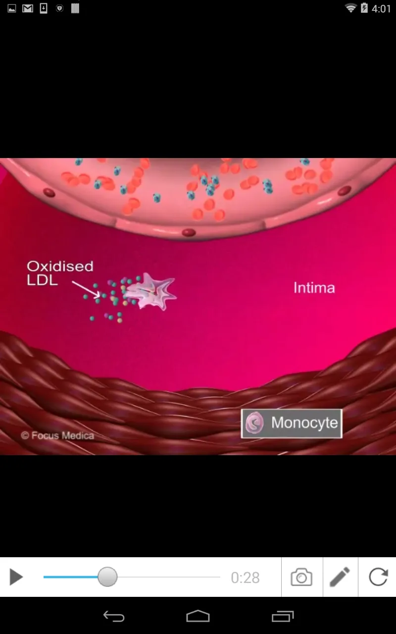 Advanced Lipid Testing | Indus Appstore | Screenshot