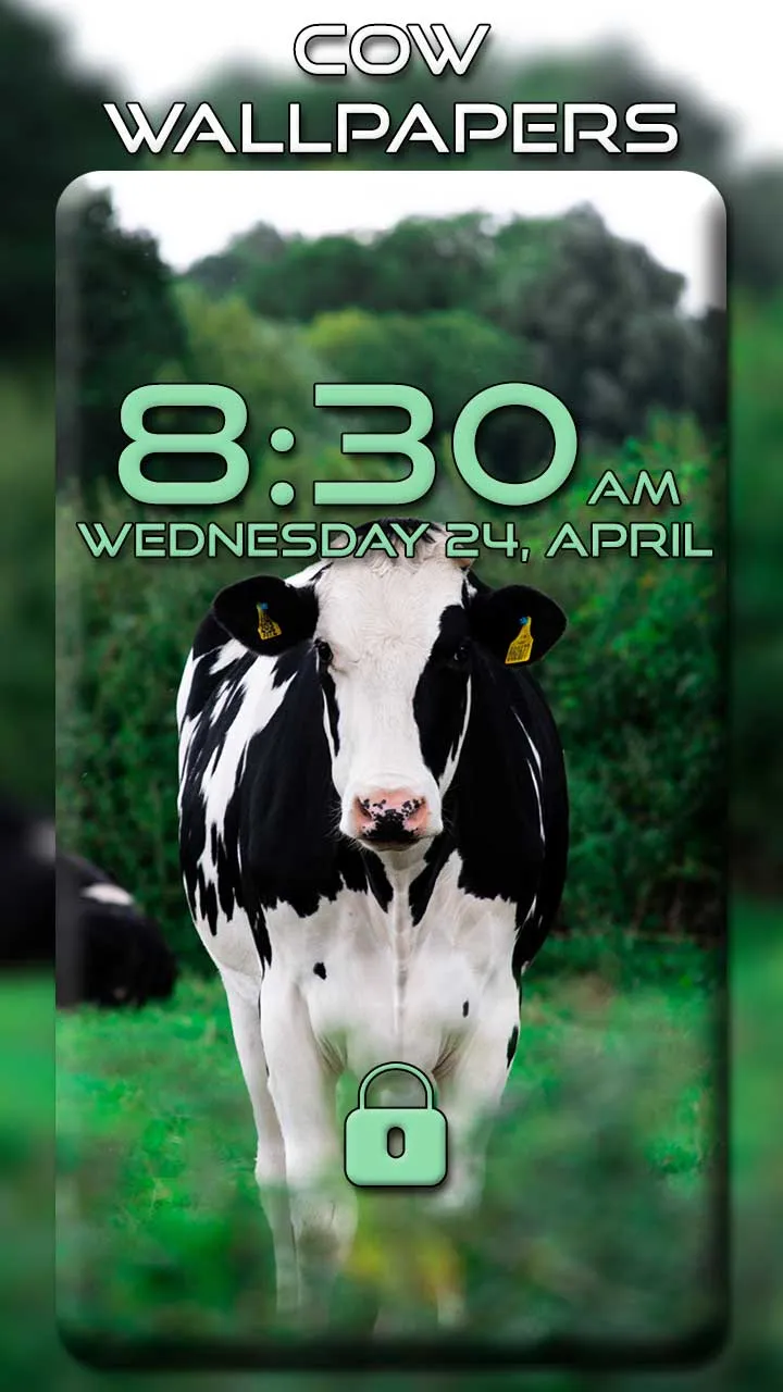 Cow Wallpapers | Indus Appstore | Screenshot