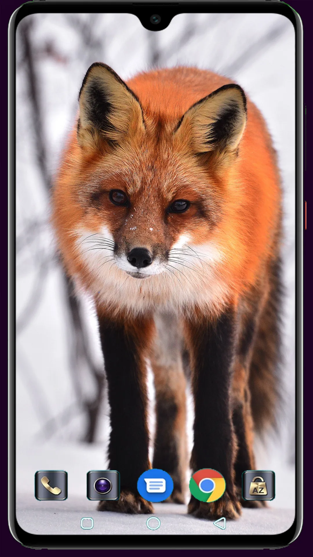 Fox Wallpaper | Indus Appstore | Screenshot