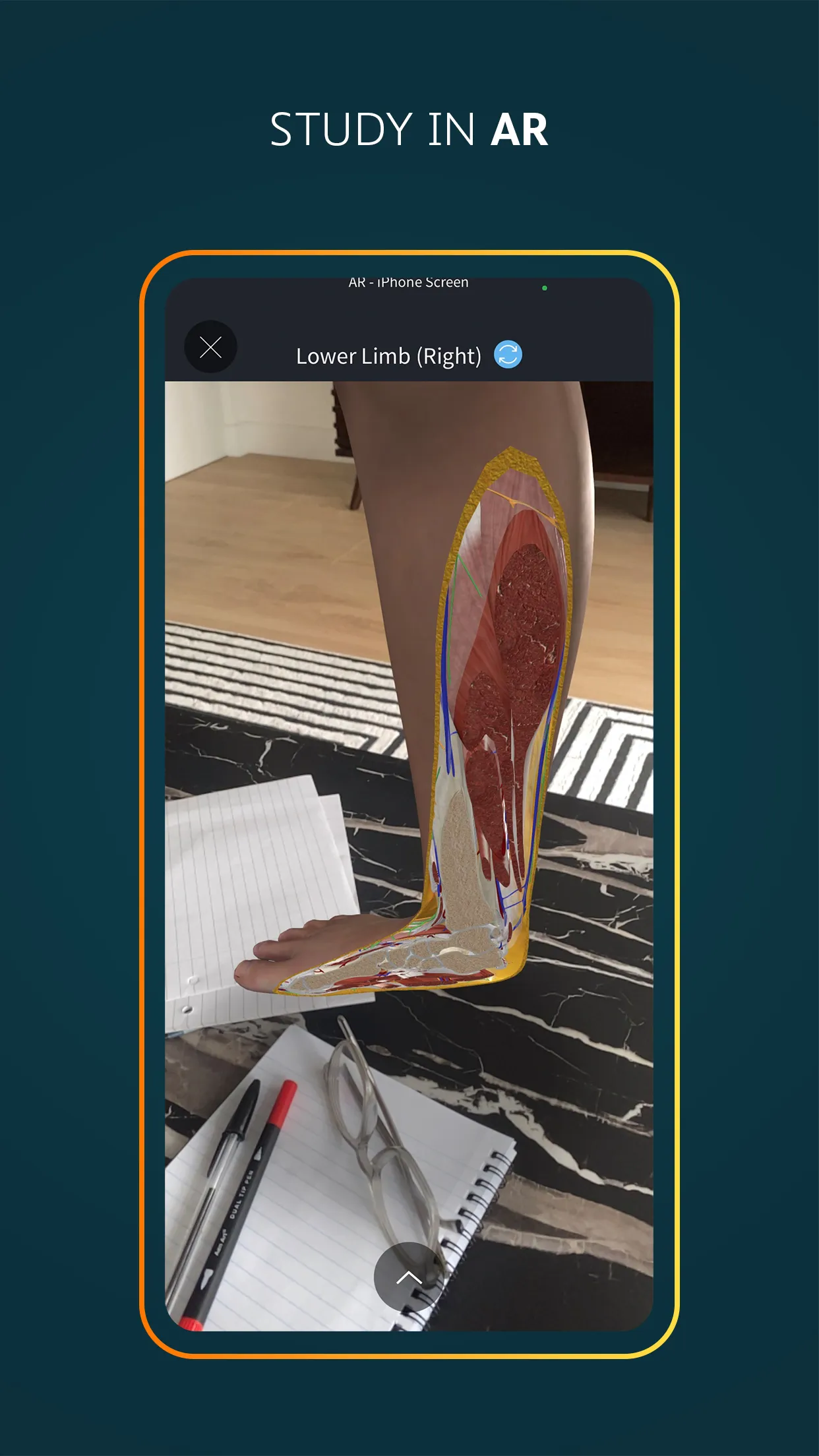 Complete Anatomy 2024 | Indus Appstore | Screenshot