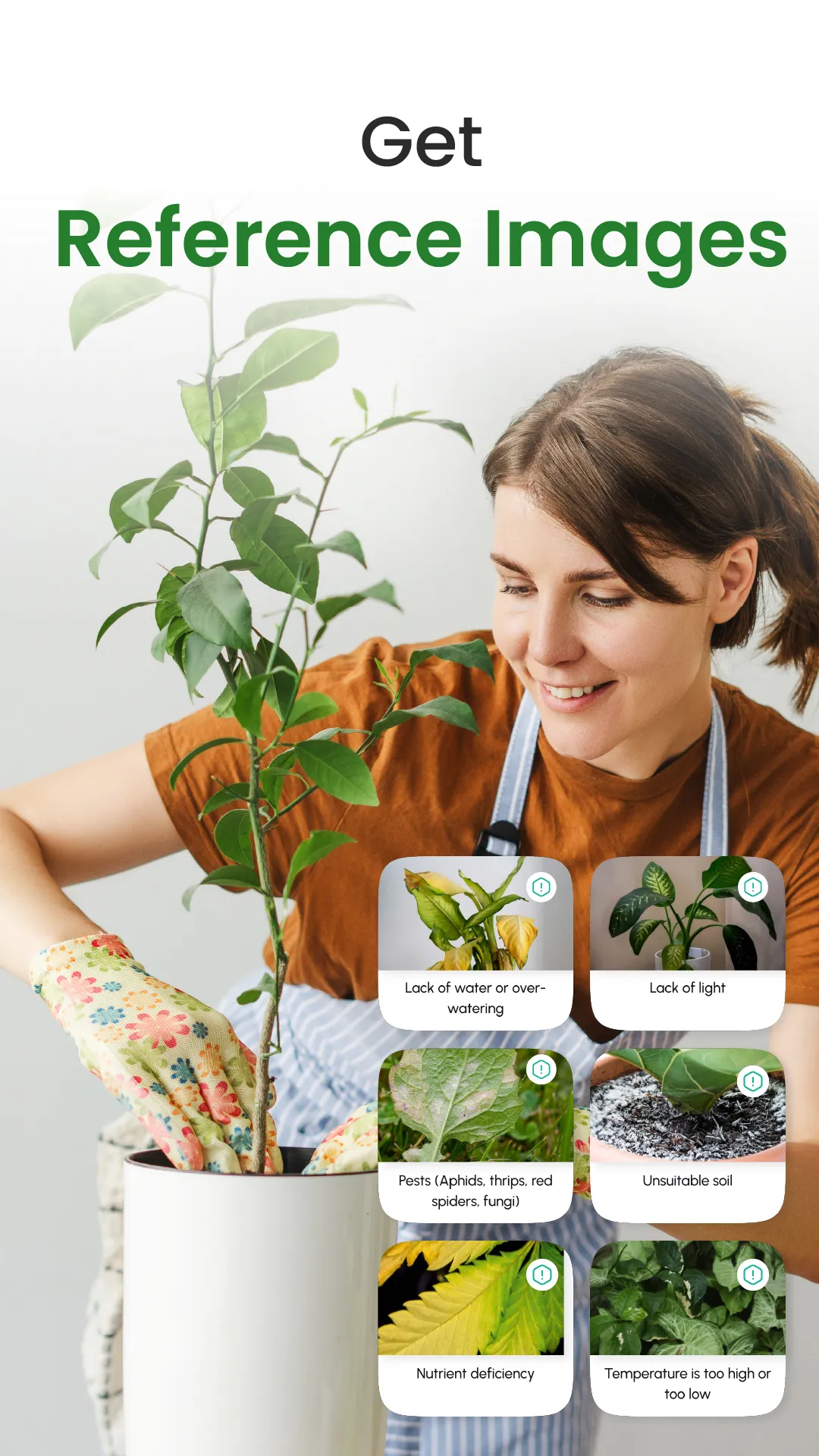 Florify: AI Plant Identifier | Indus Appstore | Screenshot