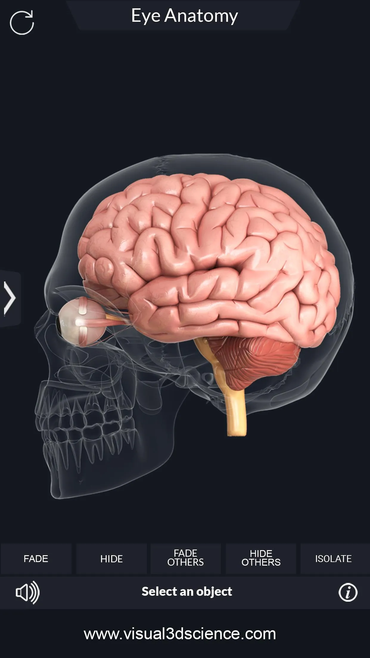 My Eye Anatomy | Indus Appstore | Screenshot