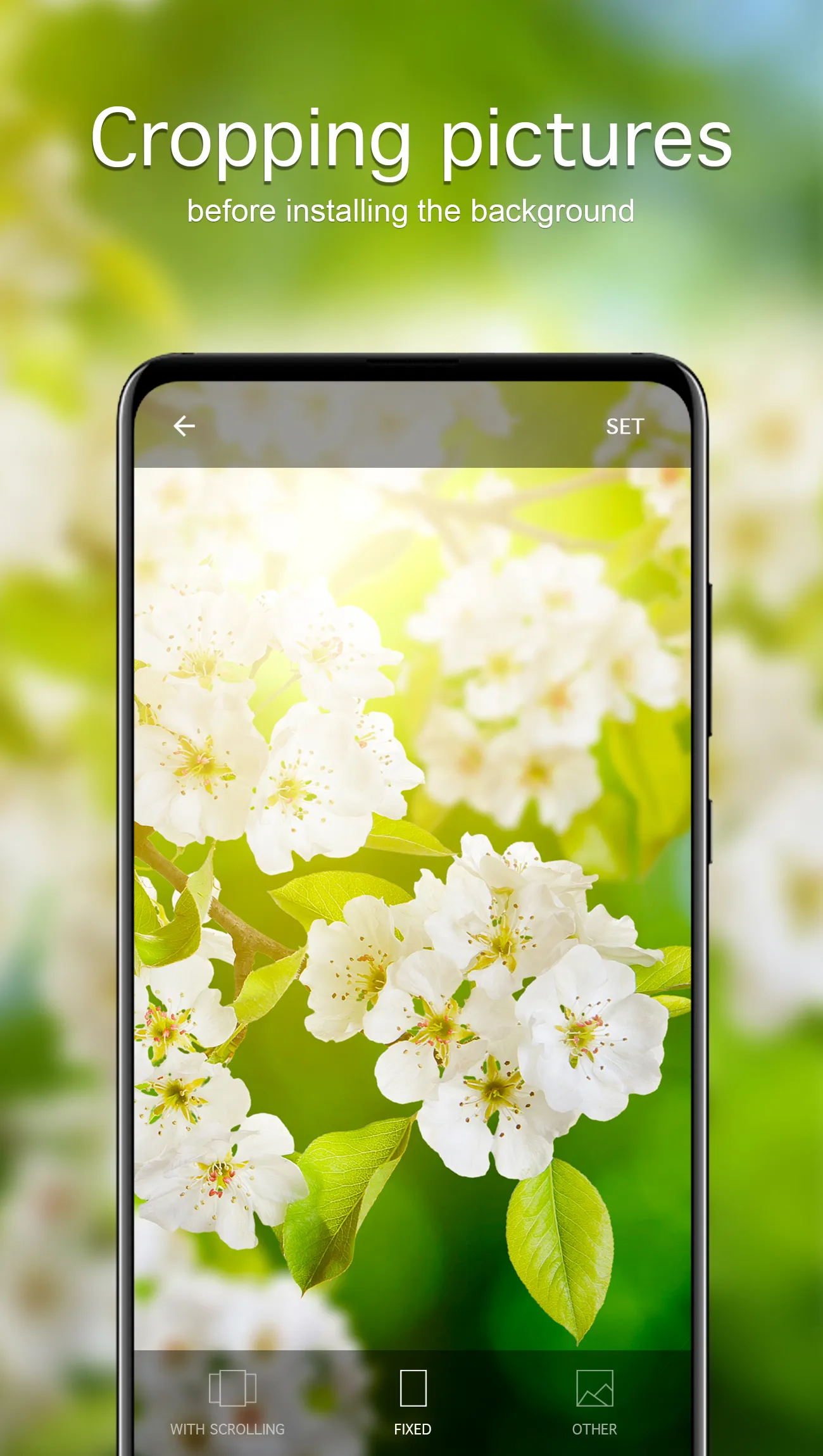 Spring Wallpapers 4K | Indus Appstore | Screenshot