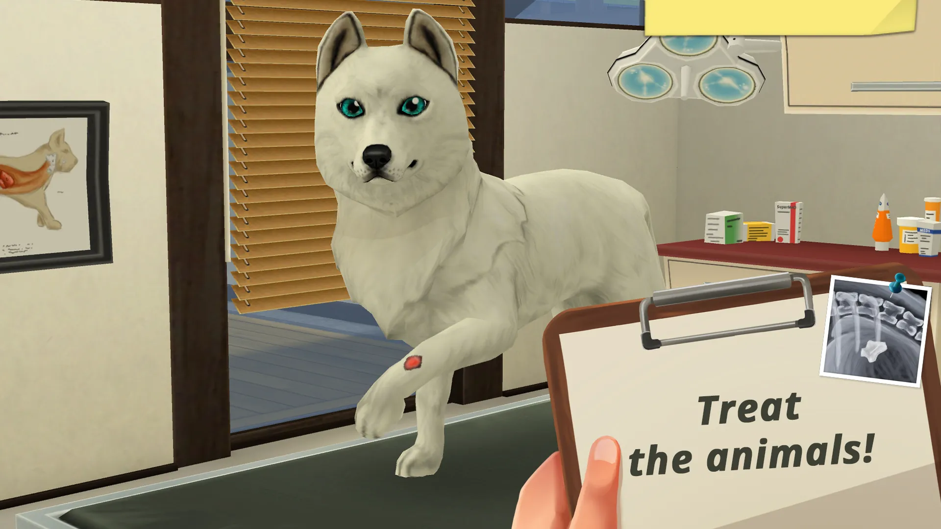 Pet World – My Animal Hospital | Indus Appstore | Screenshot