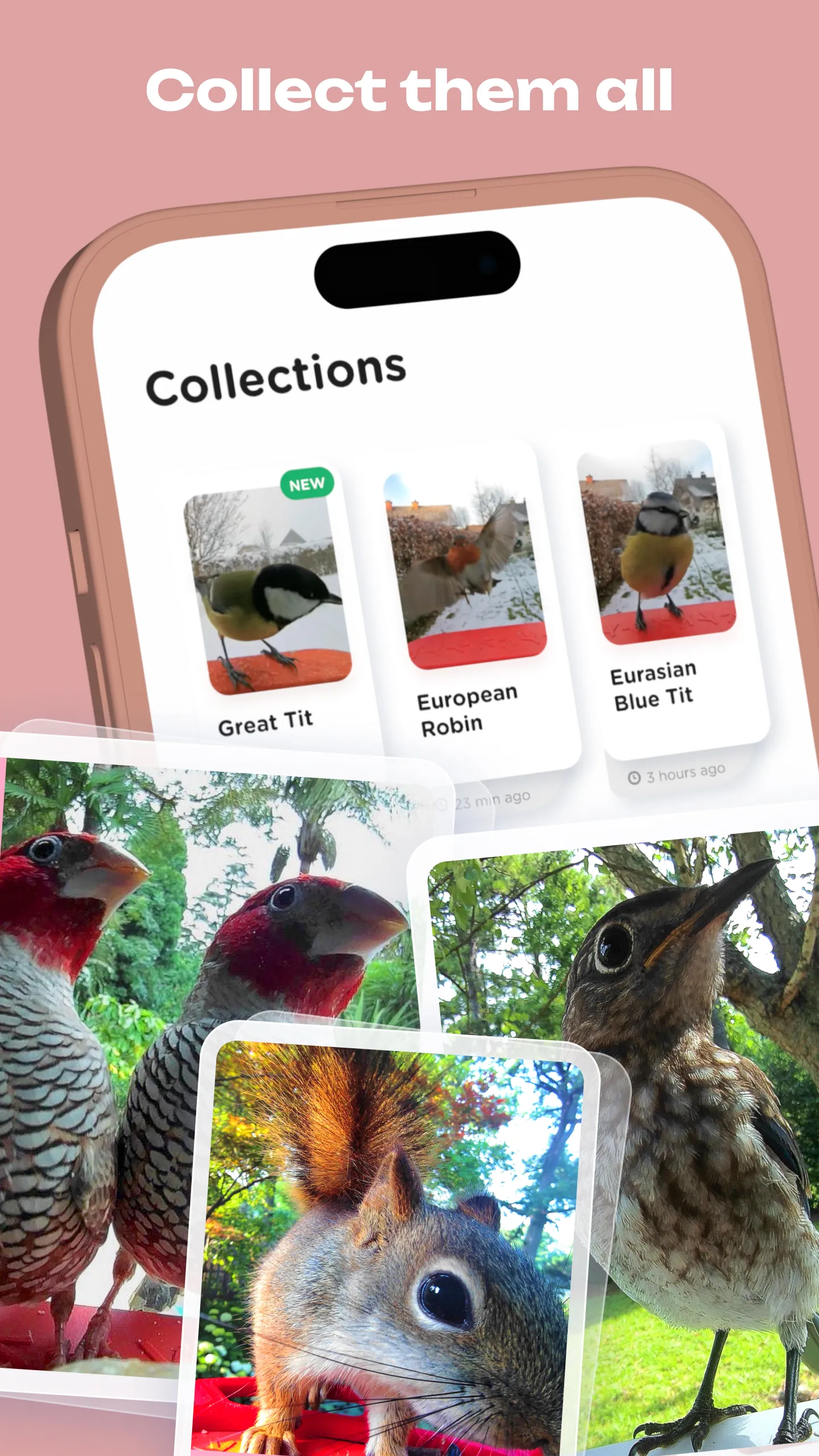 Bird Buddy: Tap into nature | Indus Appstore | Screenshot