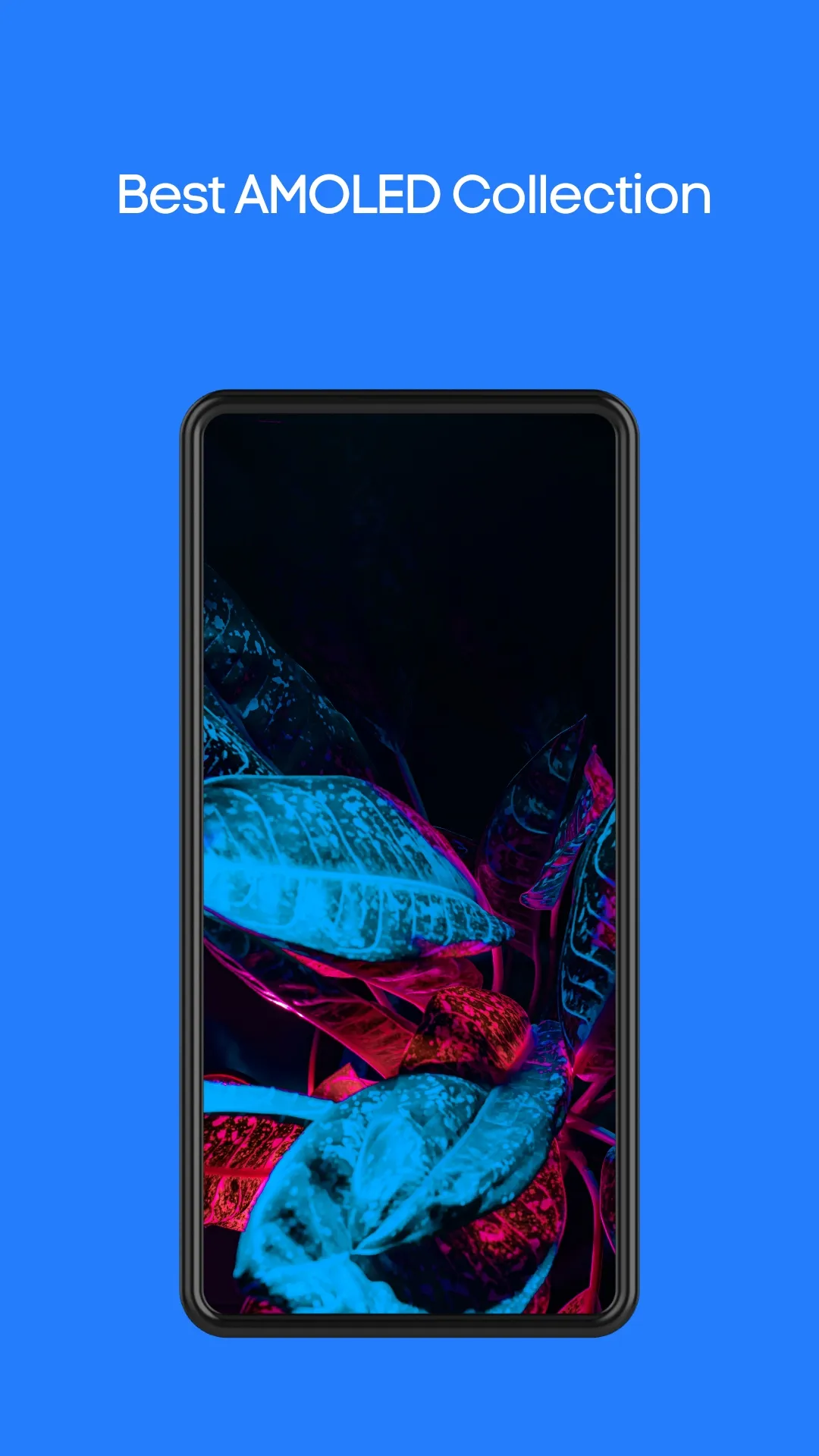 8K Wallpapers - HD, QHD, UDH | Indus Appstore | Screenshot