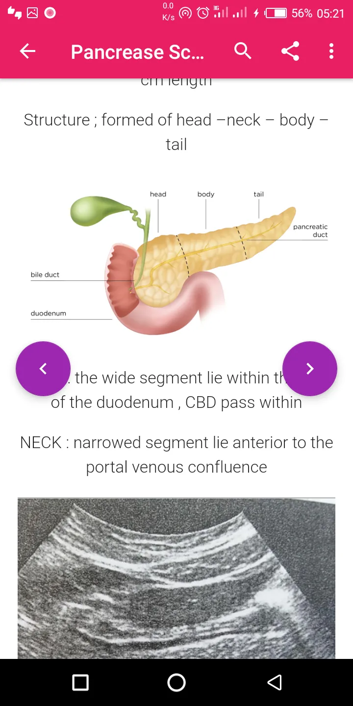 A-Z Abdominal Ultrasound Guide | Indus Appstore | Screenshot