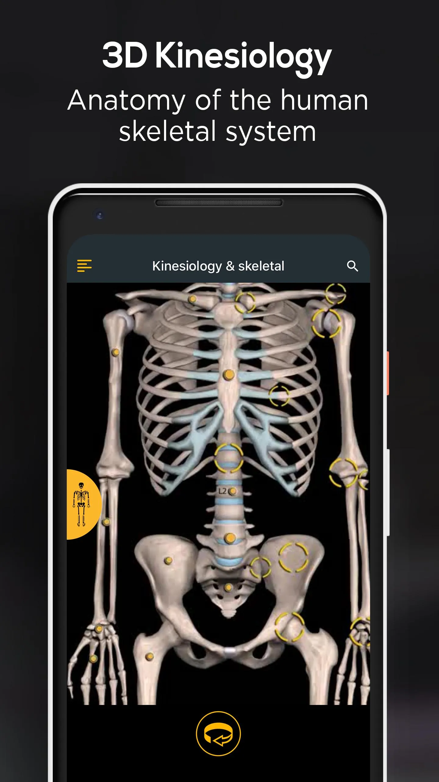 Anatomy by Muscle & Motion | Indus Appstore | Screenshot