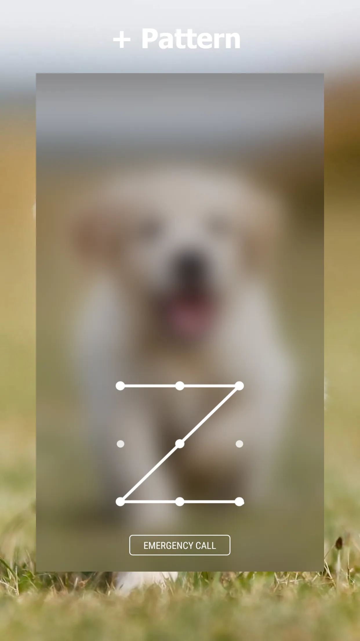 Labrador Lock Screen | Indus Appstore | Screenshot