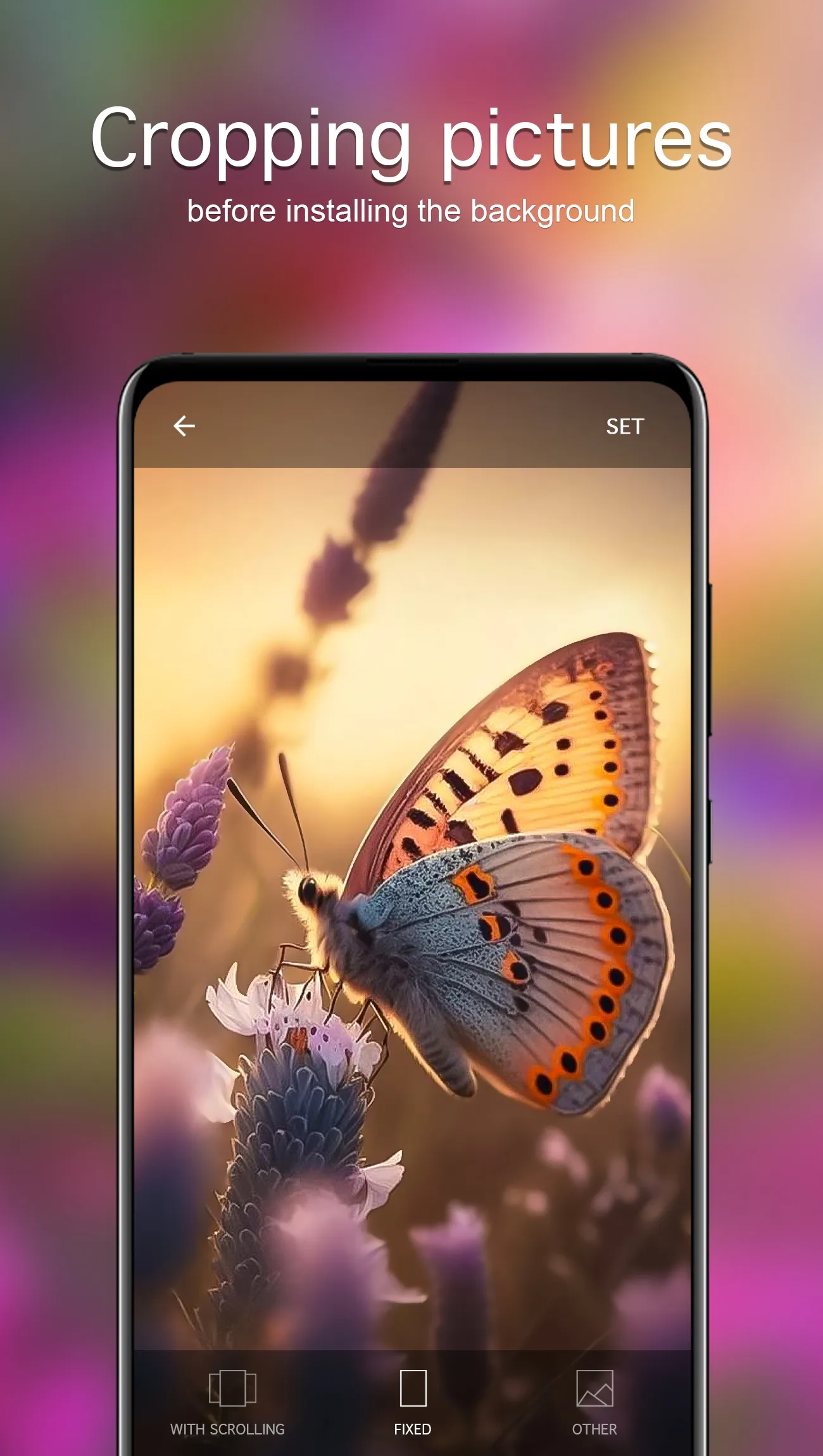 Butterfly Wallpapers 4K | Indus Appstore | Screenshot