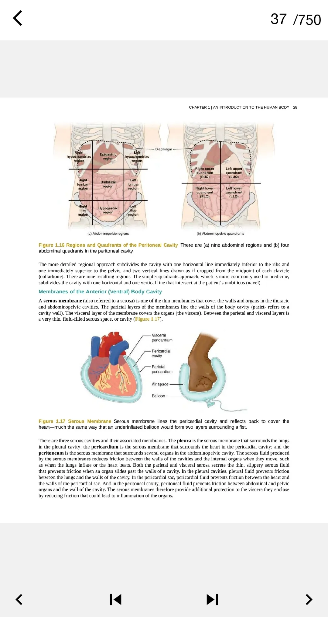 Book Anatomy and physiology | Indus Appstore | Screenshot