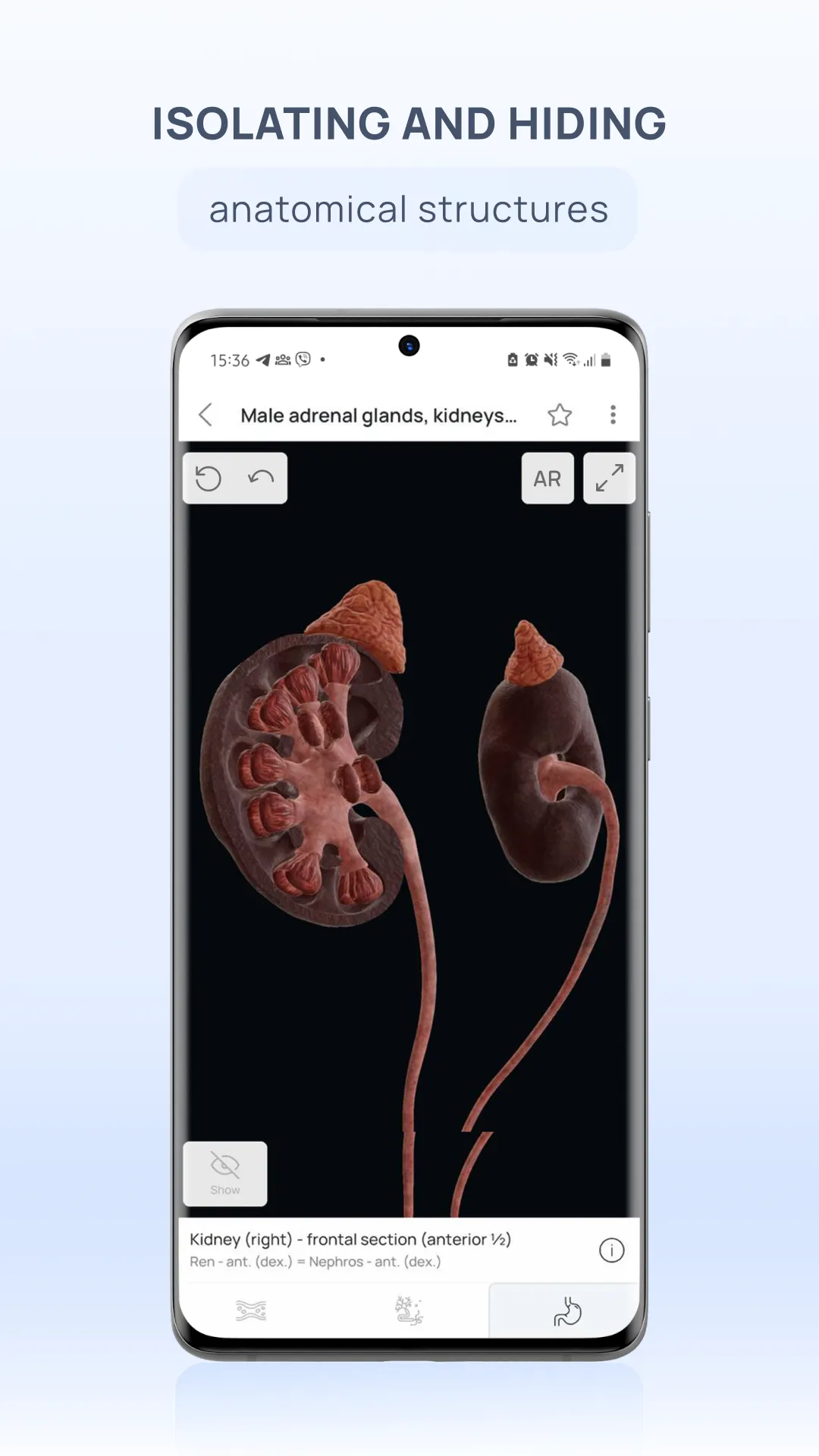 VOKA 3D Anatomy & Pathology | Indus Appstore | Screenshot