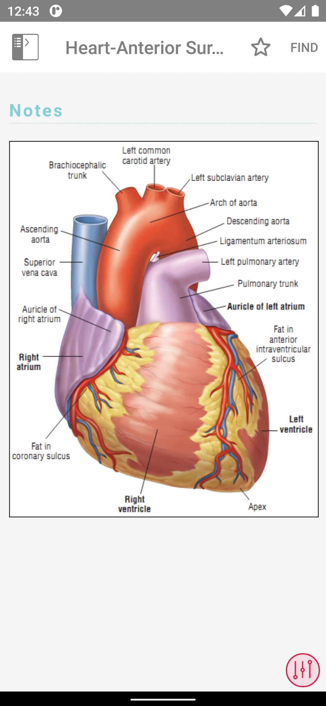 ECG Notes: Quick look-up ref. | Indus Appstore | Screenshot