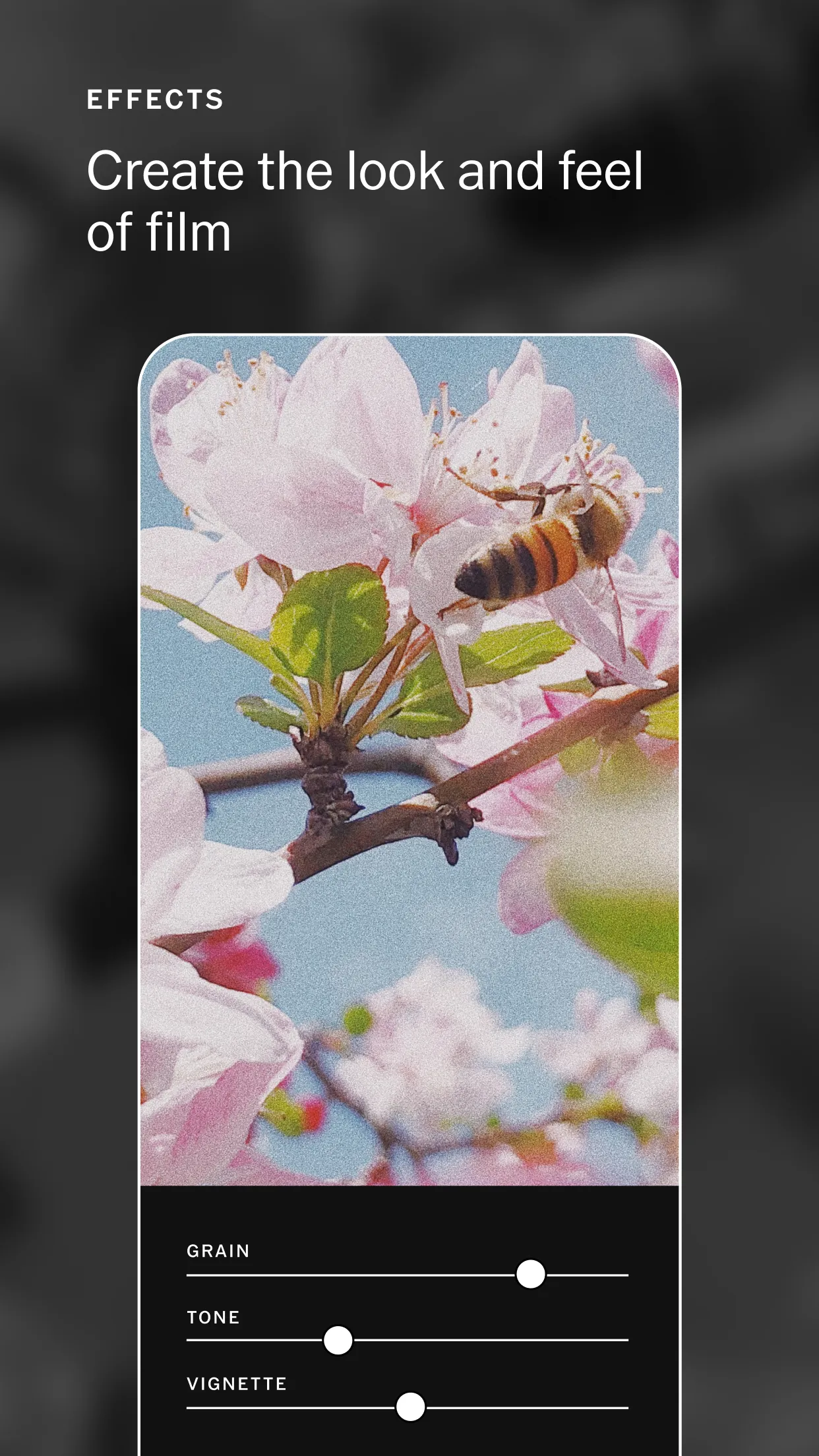 VSCO: Photo & Video Editor | Indus Appstore | Screenshot