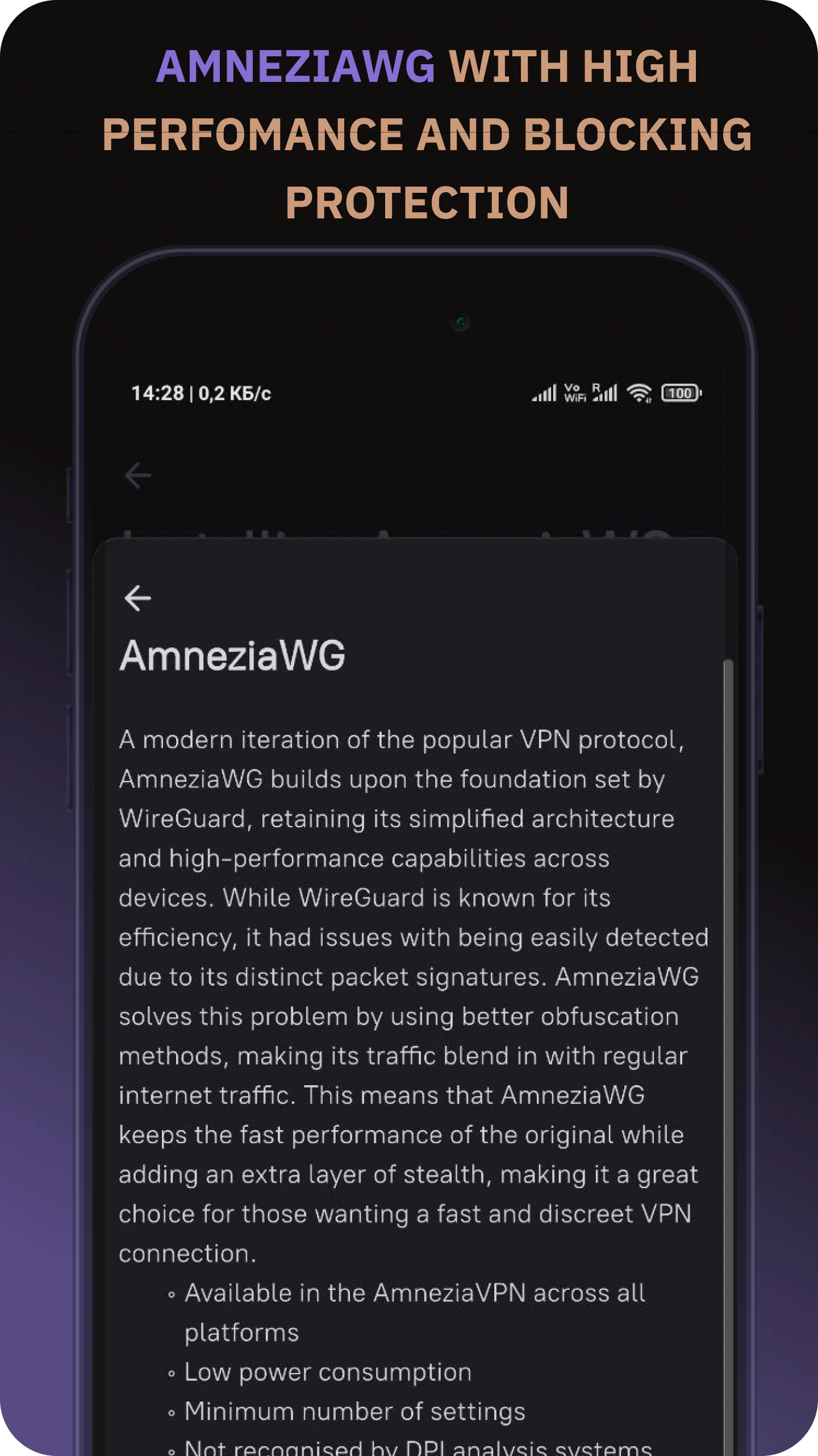 Amnezia VPN | Indus Appstore | Screenshot