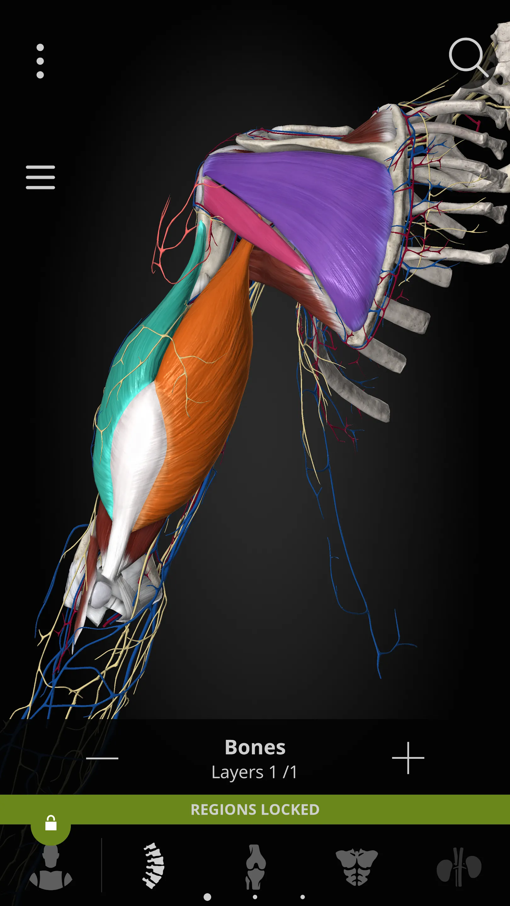 Anatomyka - 3D Anatomy Atlas | Indus Appstore | Screenshot