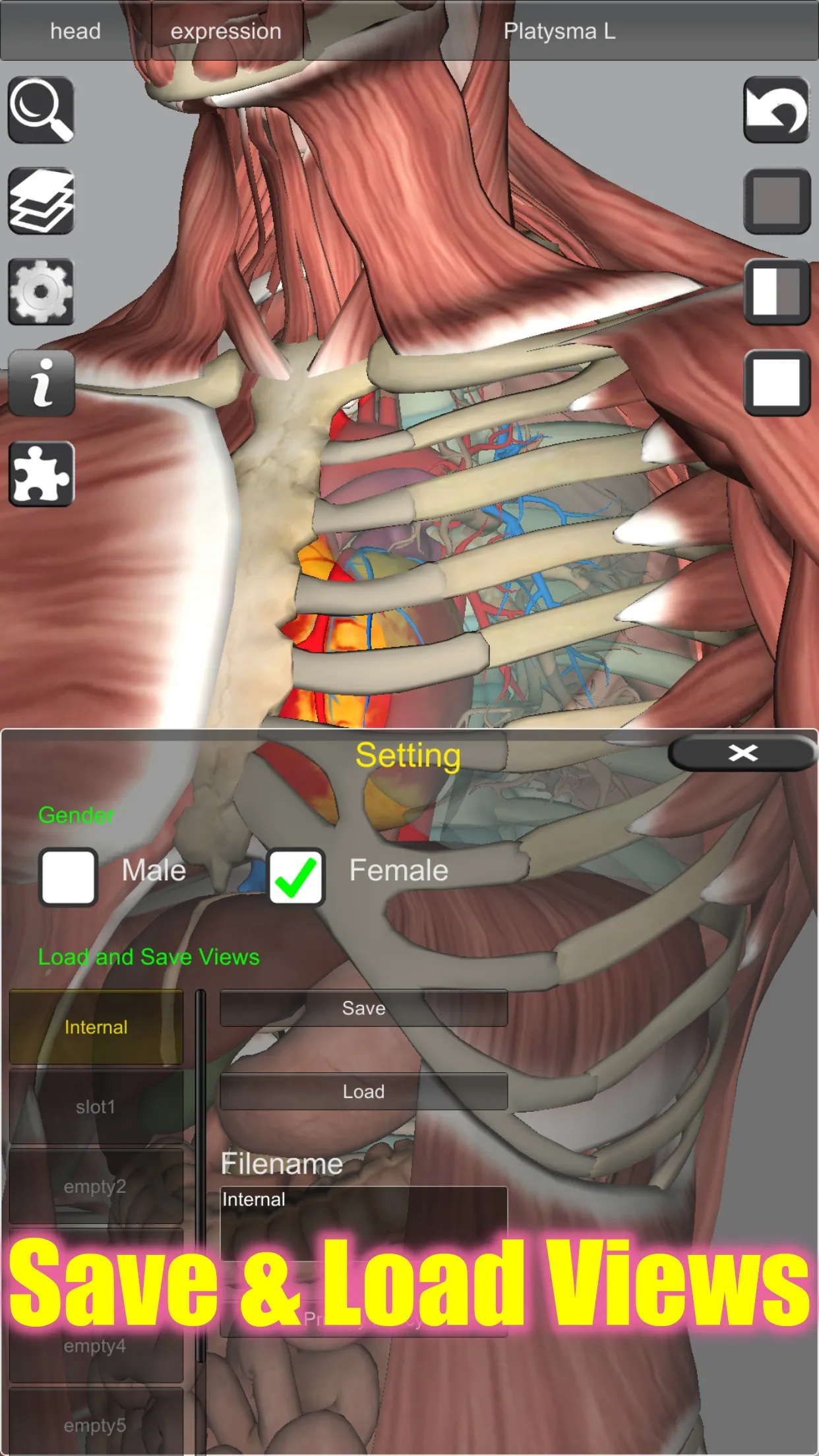 3D Bones and Organs (Anatomy) | Indus Appstore | Screenshot