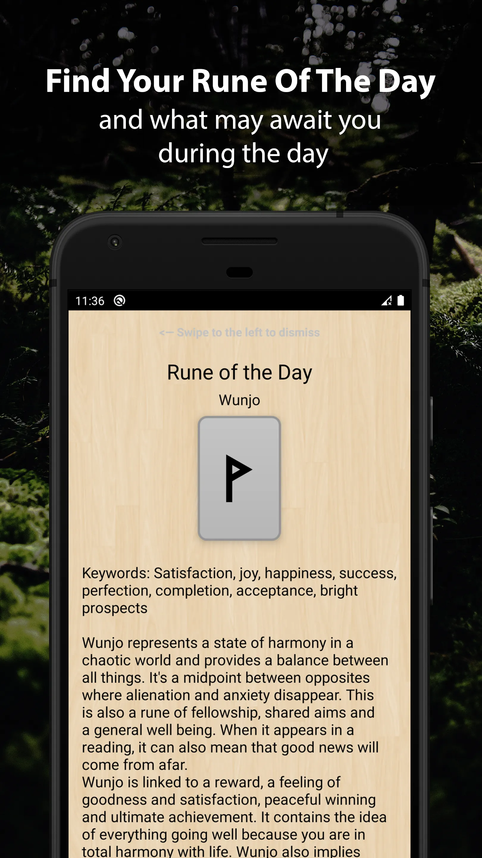 Runic Divination - Runes Tarot | Indus Appstore | Screenshot