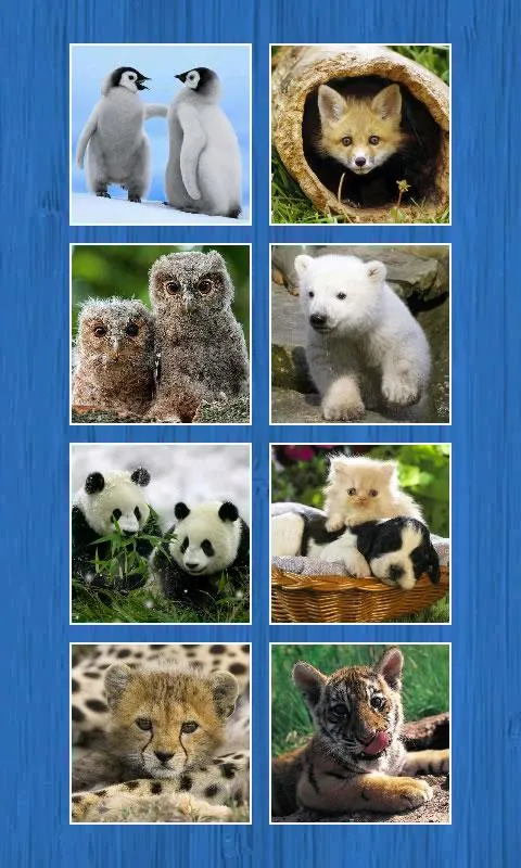 Animals Slide Puzzles | Indus Appstore | Screenshot