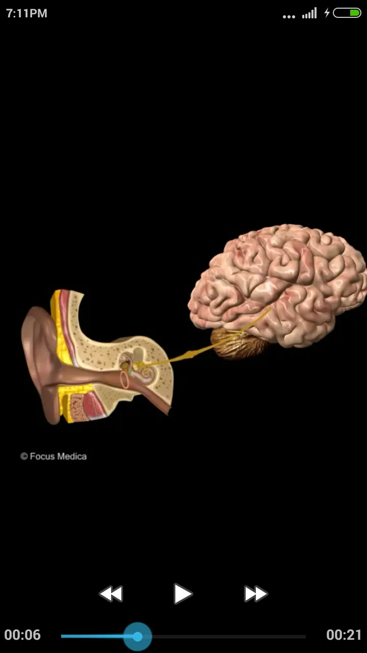 Otolaryngology-Dictionary | Indus Appstore | Screenshot