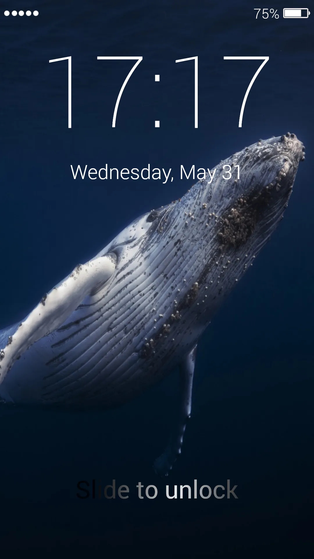 Blue Whale Lock Screen | Indus Appstore | Screenshot