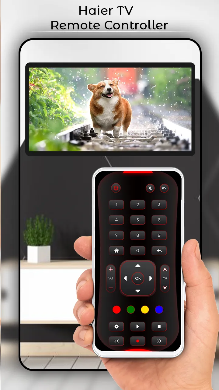 Haier TV Remote Controller | Indus Appstore | Screenshot