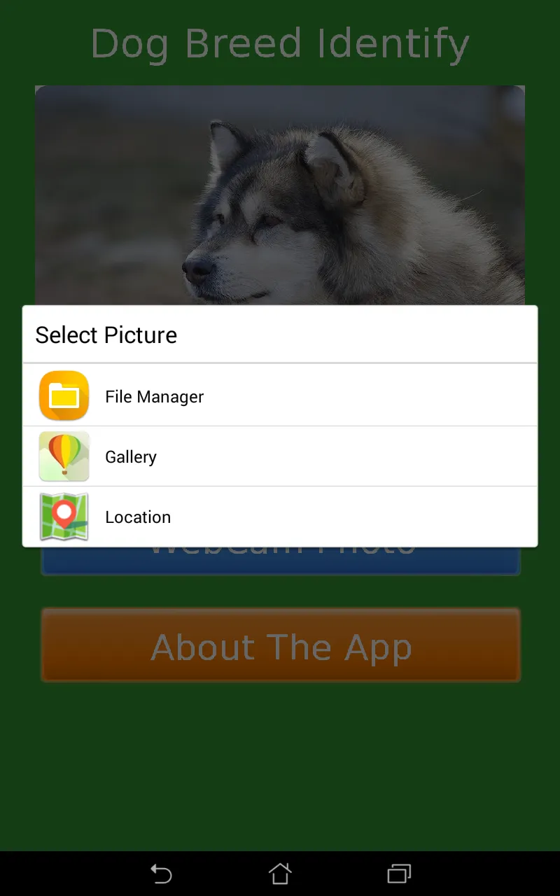 Dog Breed Auto Identify Photo | Indus Appstore | Screenshot