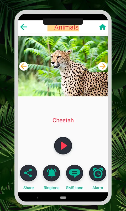 Animal & Bird Sounds | Indus Appstore | Screenshot