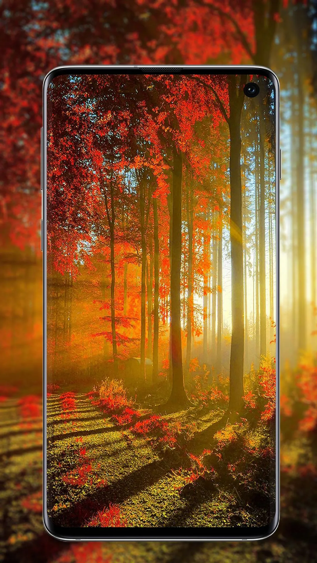 nature wallpaper | Indus Appstore | Screenshot