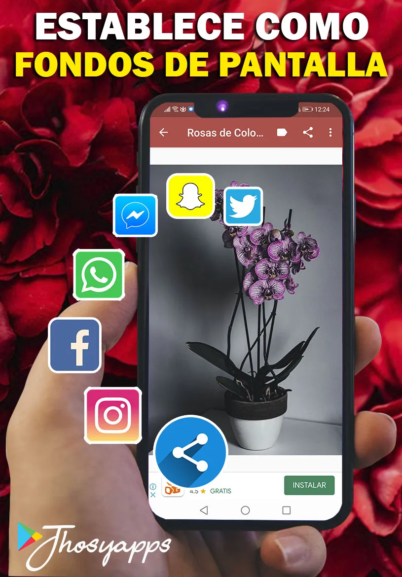 Flores y Rosas Rojas imágenes | Indus Appstore | Screenshot