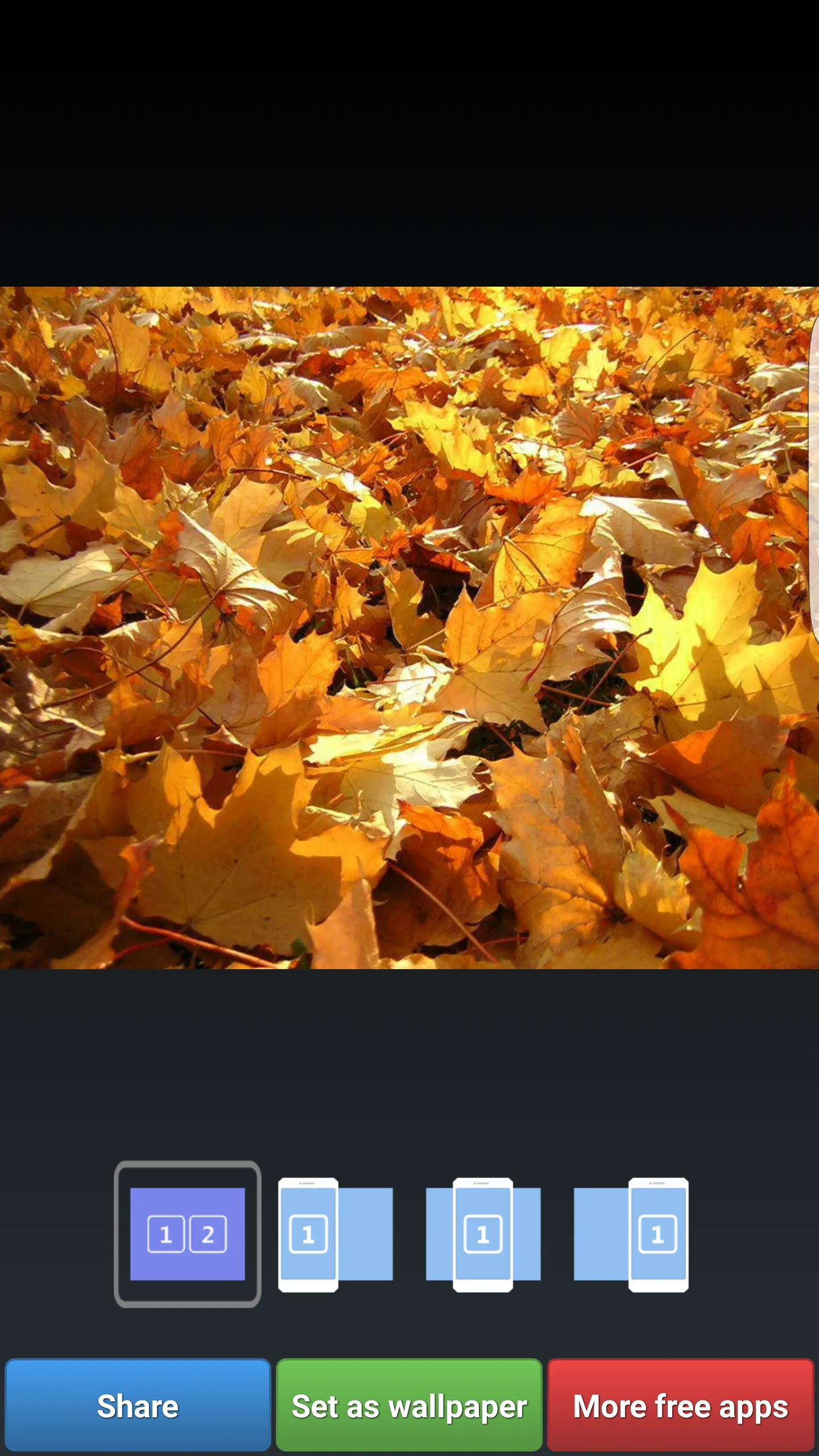 Autumn Wallpapers | Indus Appstore | Screenshot