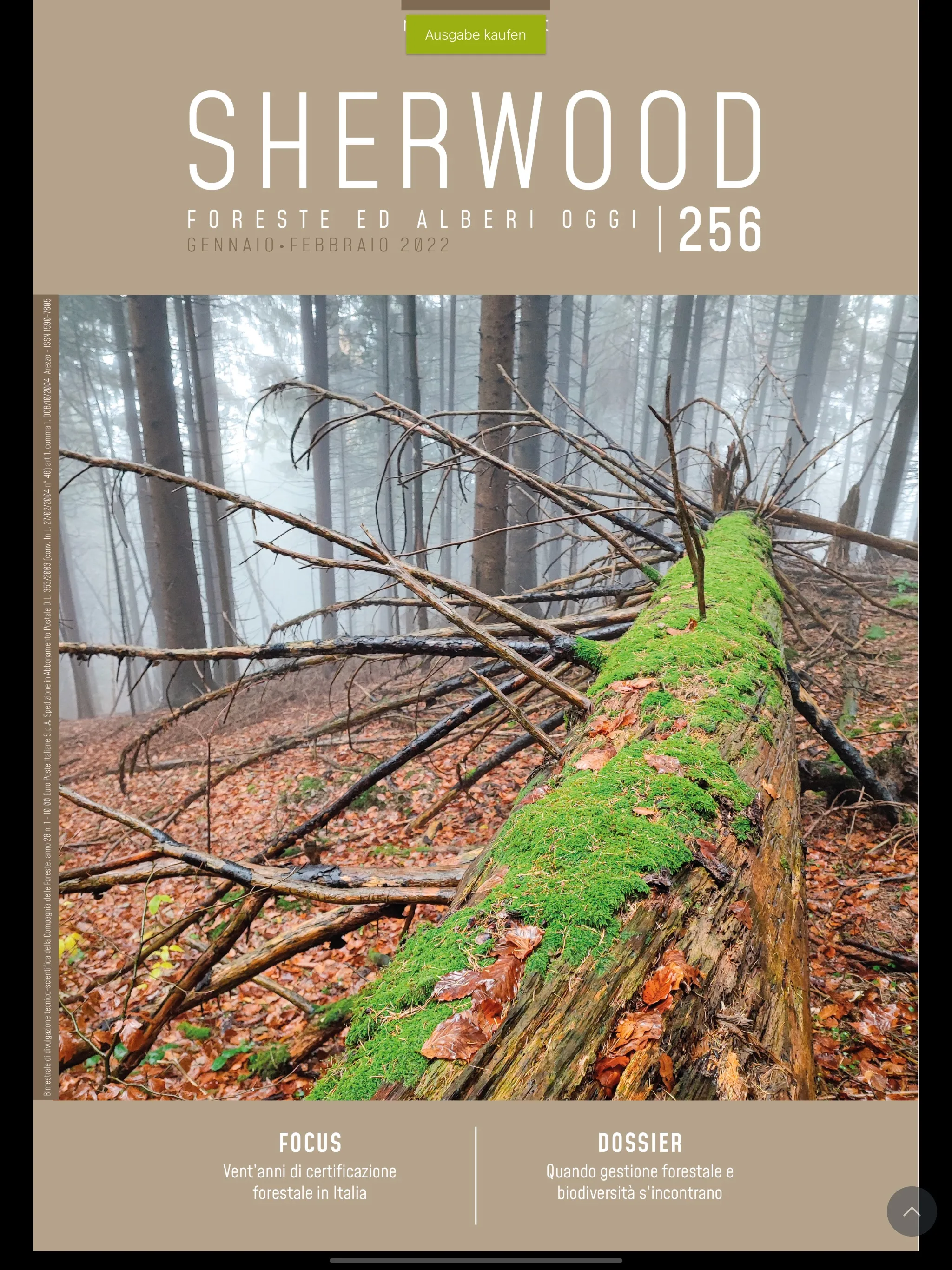 Sherwood-Foreste e Alberi Oggi | Indus Appstore | Screenshot