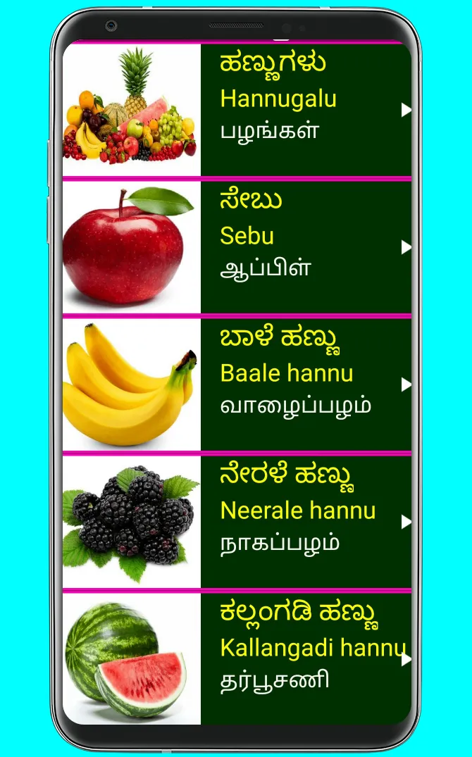 Learn Kannada From Tamil | Indus Appstore | Screenshot