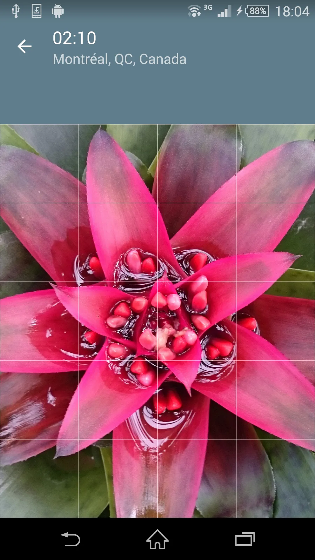 Jigsaw Puzzle: Flowers | Indus Appstore | Screenshot