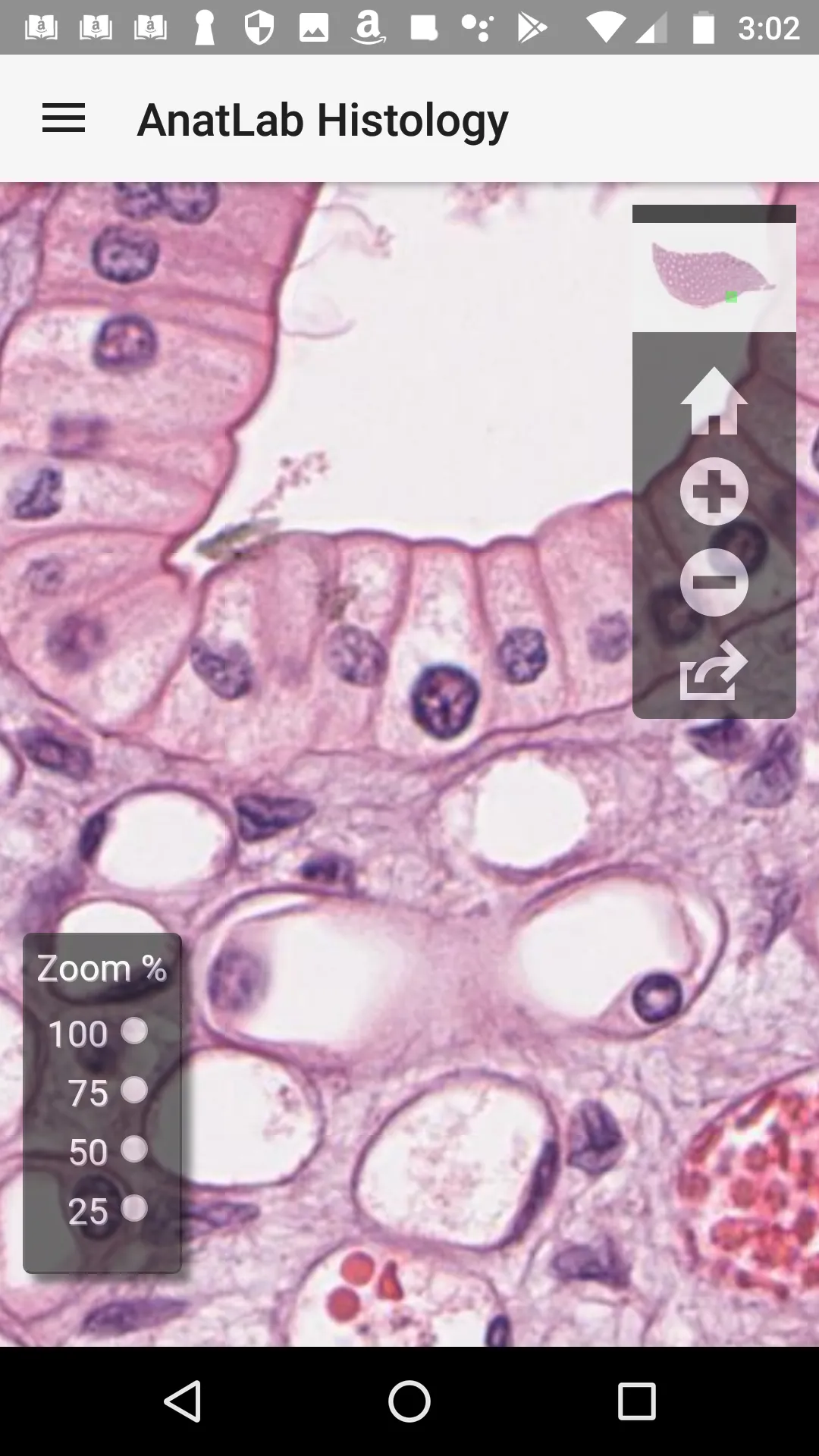 AnatLab Histology | Indus Appstore | Screenshot