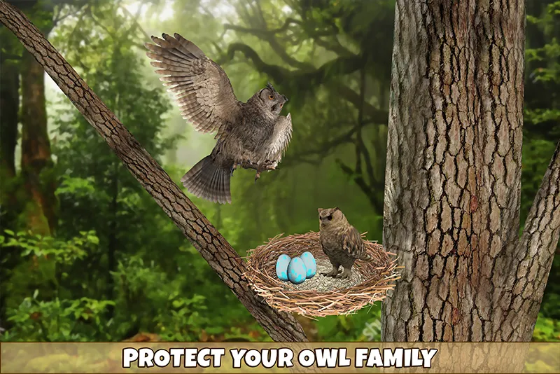 Owl Bird Simulator Birds Game | Indus Appstore | Screenshot