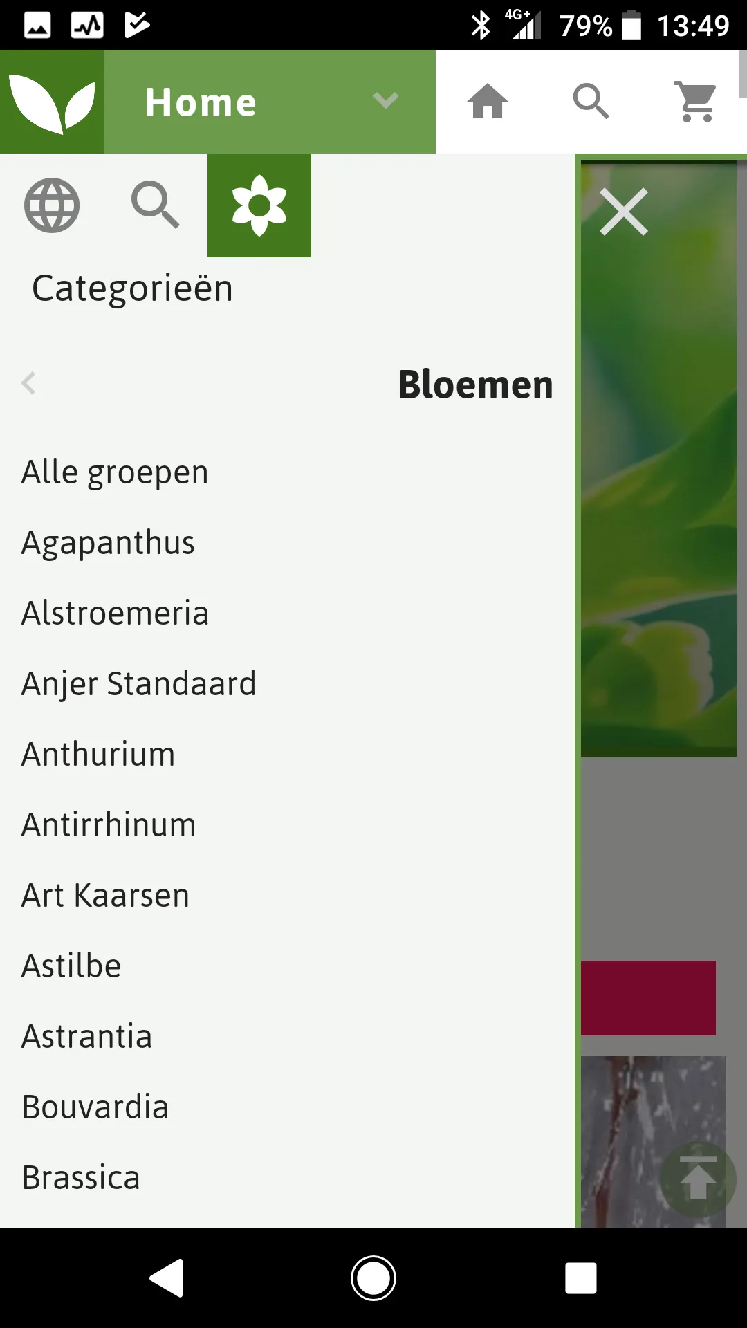 FlowerSale.nl | Indus Appstore | Screenshot