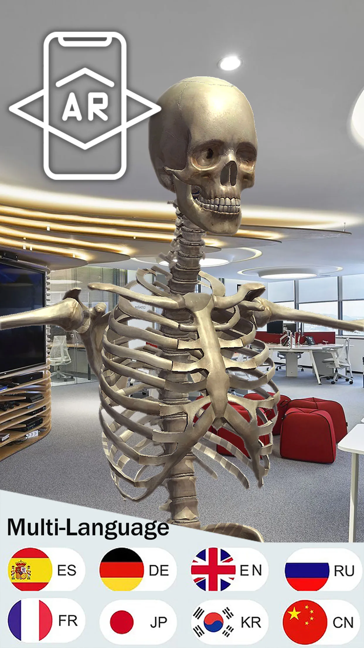 Human Anatomy 3D | Indus Appstore | Screenshot