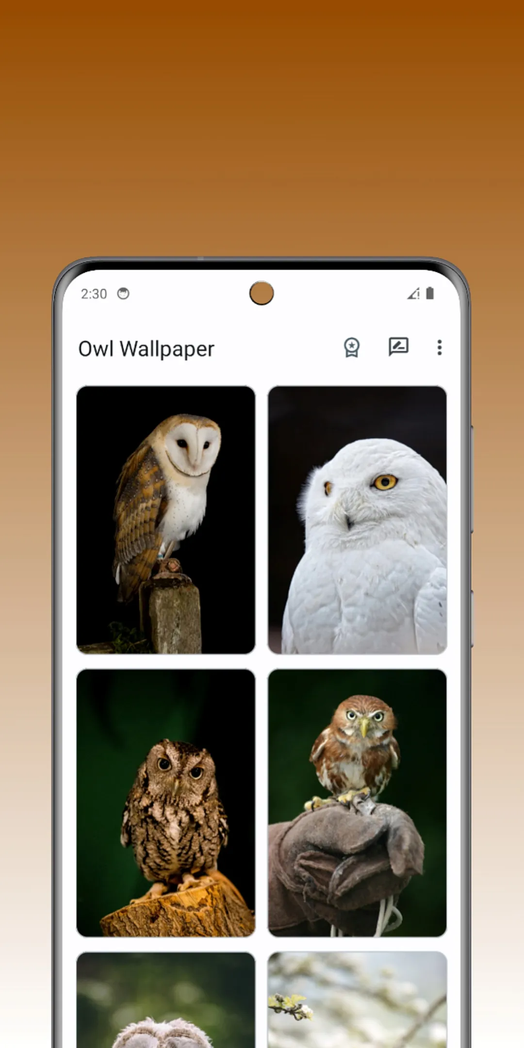 Owl Archetype | Indus Appstore | Screenshot