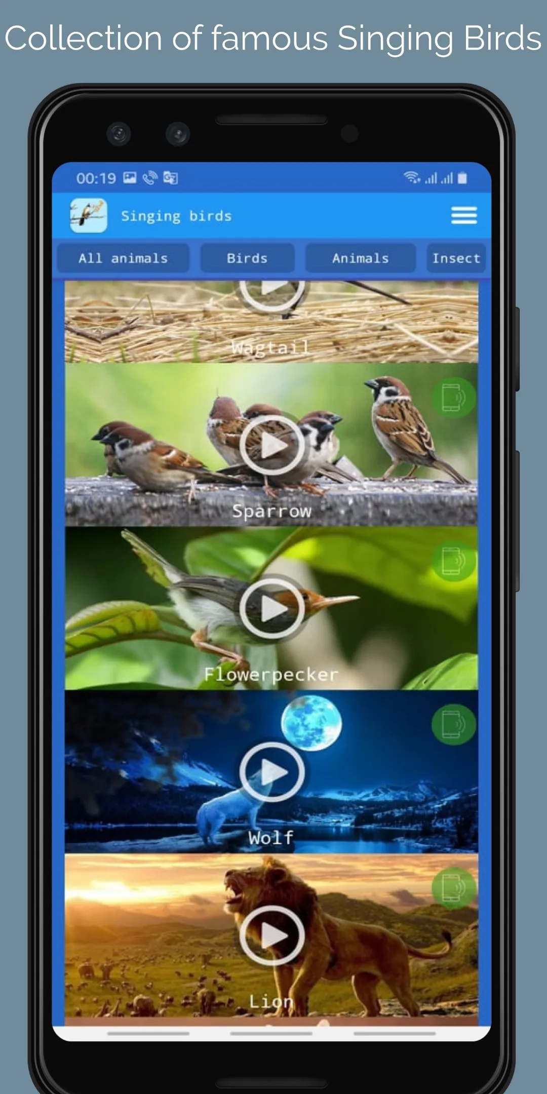 Singing Birds | Indus Appstore | Screenshot