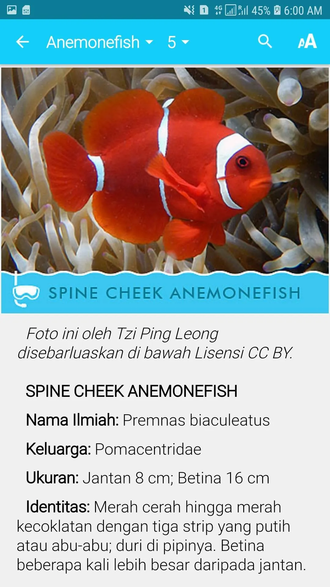 Biota Laut Luwuk-Banggai | Indus Appstore | Screenshot