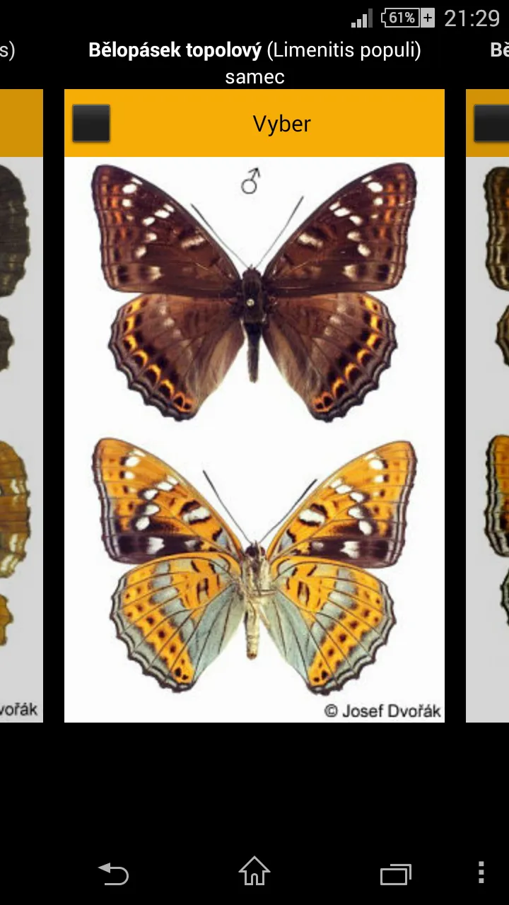 Atlas of Czech Butterflies | Indus Appstore | Screenshot