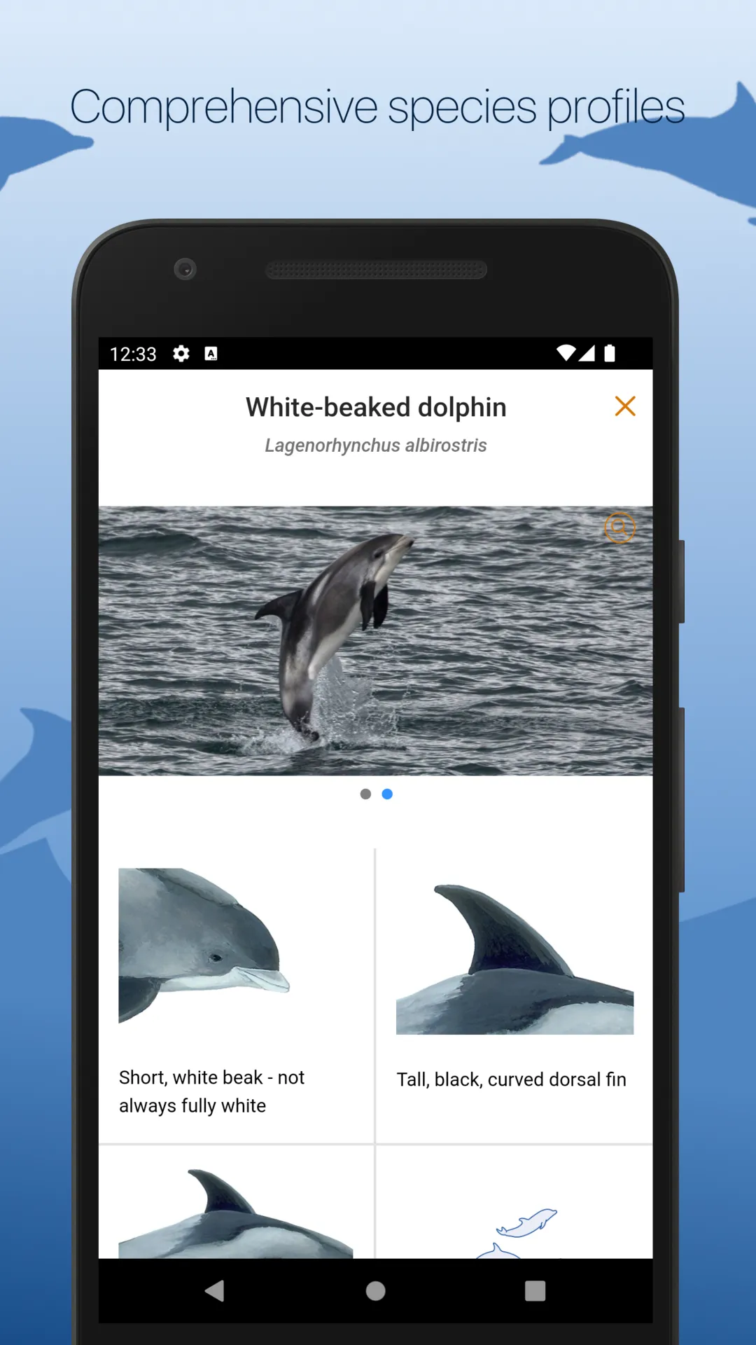 ORCA Oceanwatchers | Indus Appstore | Screenshot