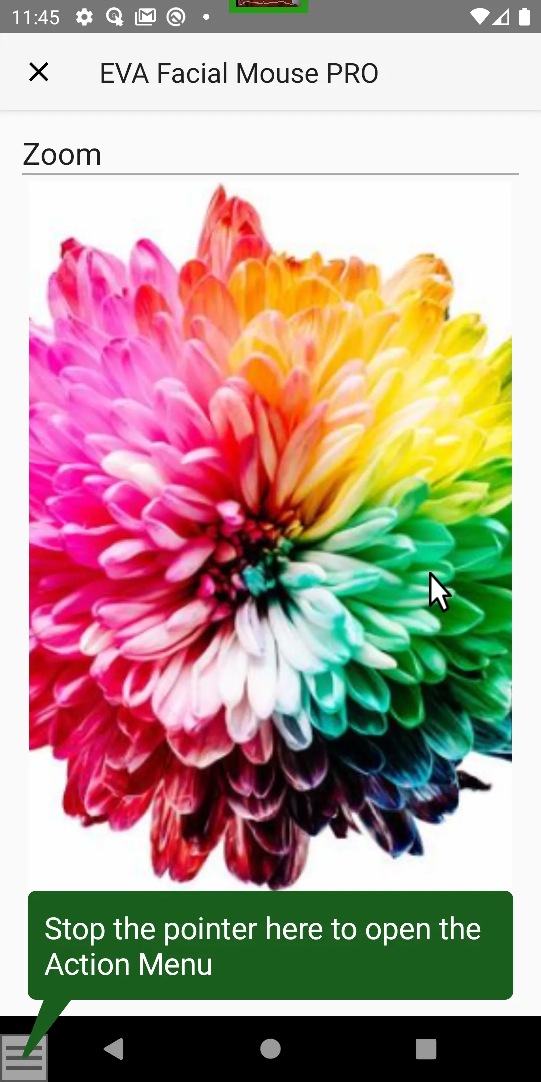 EVA Facial Mouse PRO | Indus Appstore | Screenshot